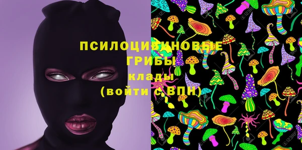 дурь Волосово