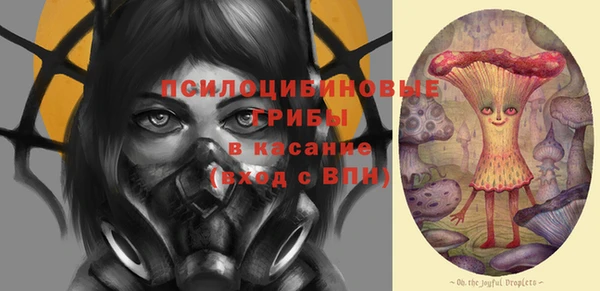 ГАЛЛЮЦИНОГЕННЫЕ ГРИБЫ Володарск