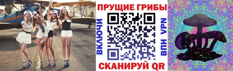 Купить закладки  Мамоново  Галлюциногенные грибы прущие грибы 